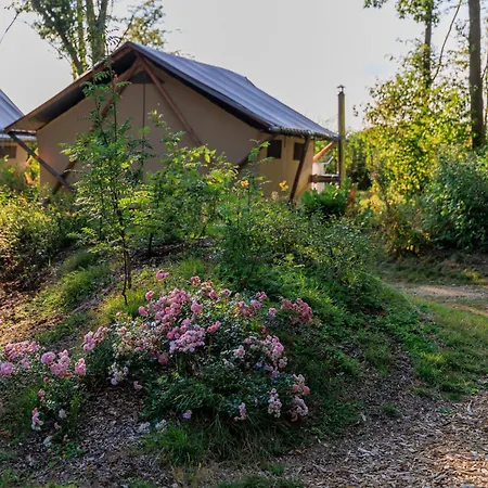 Citykamp Valkenburg - Maastricht * Valkenburg aan de Geul